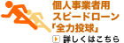 もみじ個人事業者用スピードローン「全力投球」