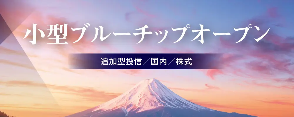 小型ブルーチップオープン