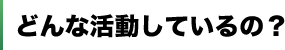 どんな活動しているの？